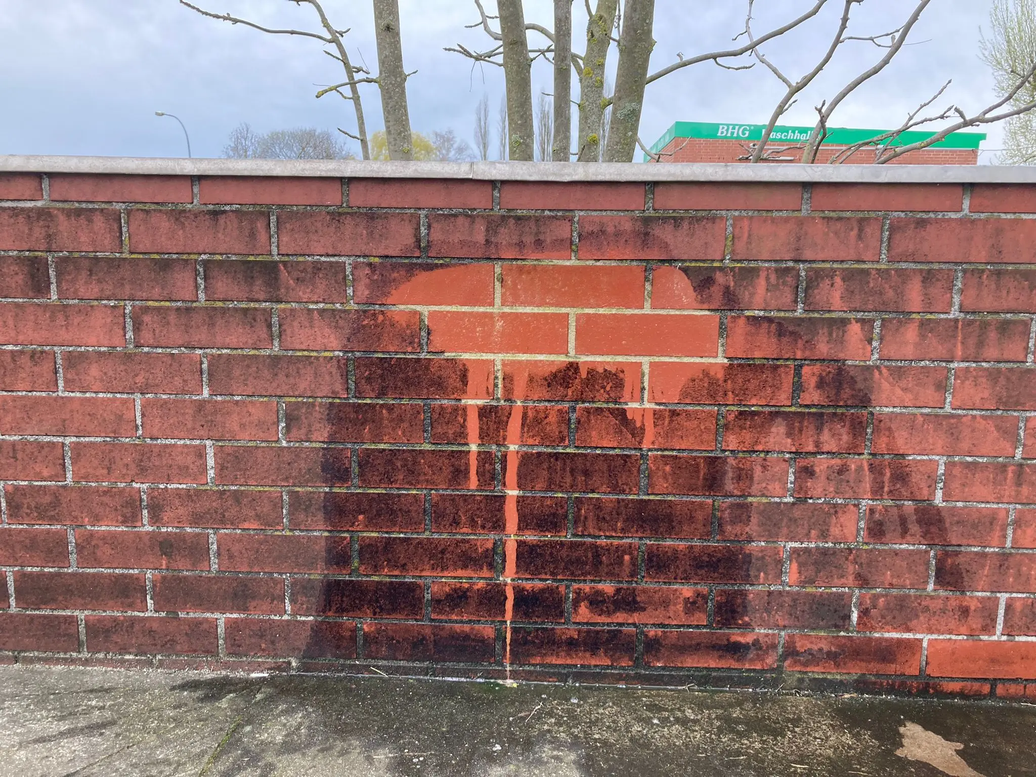 Anwendungsergebnis mit Fungi Algen-EX auf einer Mauer