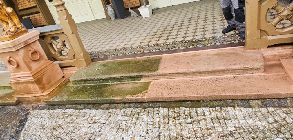 Anwendungsergebnis mit Fungi Algen-EX auf einer Terrasse
